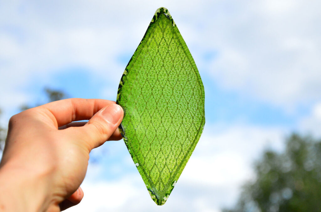 silk leaf artificial oxygen
