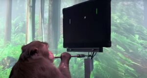 neuralink monkey pong brain