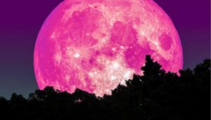 pink super moon